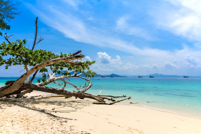เกาะกระดาน ตรัง