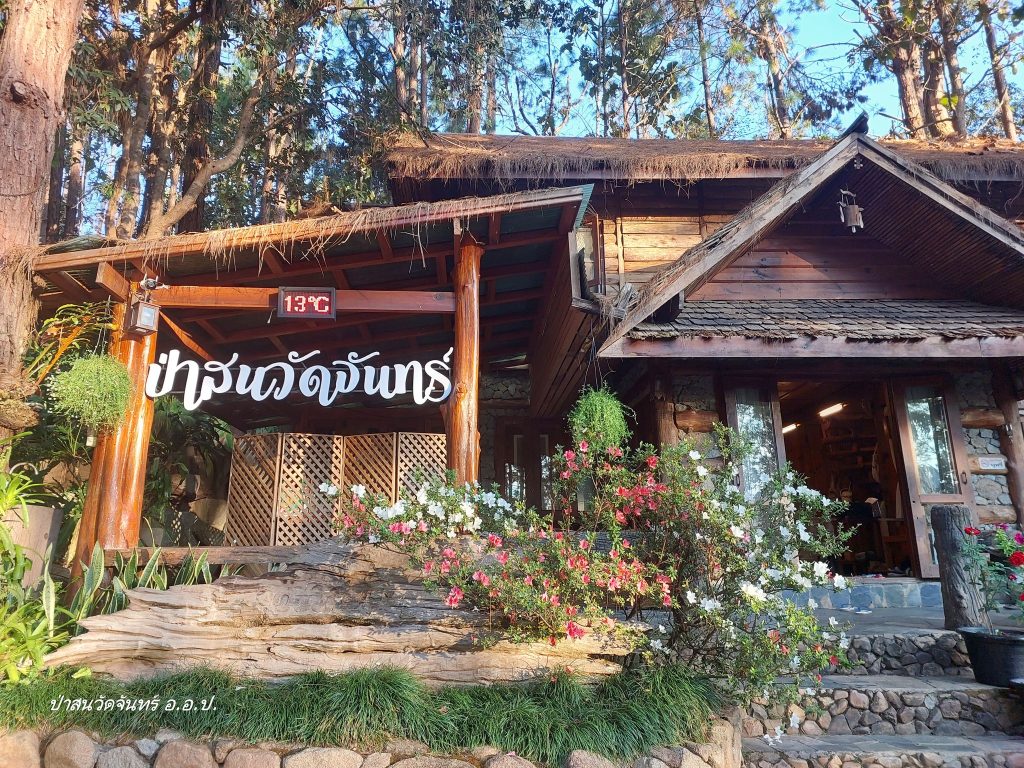 ป่าสนบ้านวัดจันทร์ 