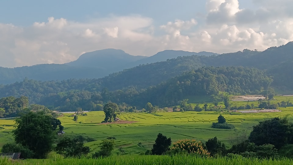 บ้านผาหมอน