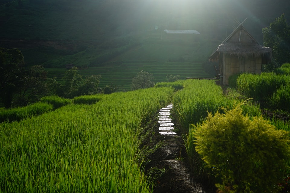 กระท่อมตะวันไรวินท์