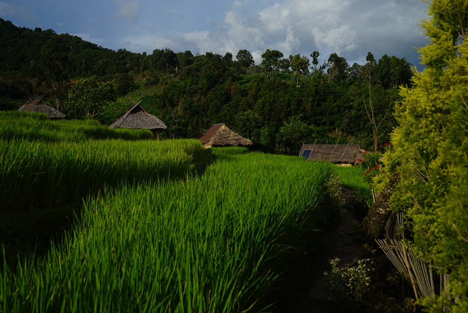 กระท่อมตะวันไรวินท์