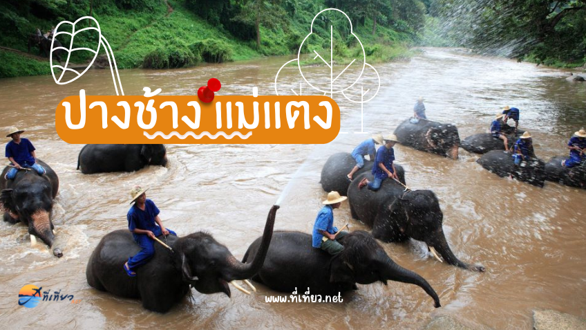 ปางช้างแม่แตง