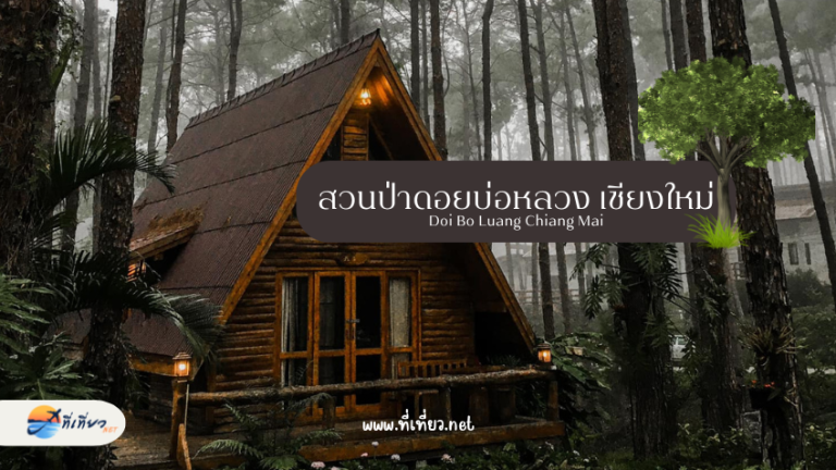 สวนป่าดอยบ่อหลวง เชียงใหม่