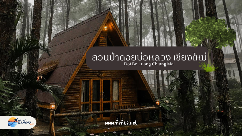 สวนป่าดอยบ่อหลวง เชียงใหม่