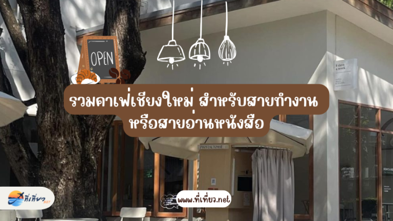 รวมคาเฟ่เชียงใหม่ สำหรับสายทำงาน หรือสายอ่านหนังสือ