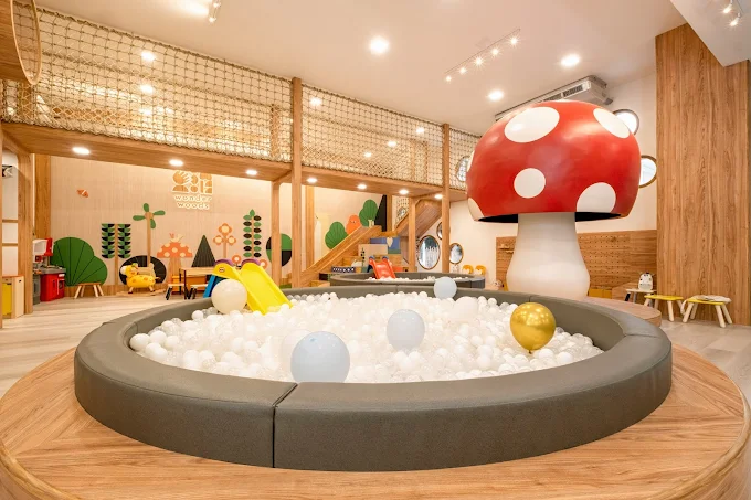Wonder Woods Co-learning space & Kids Cafe 