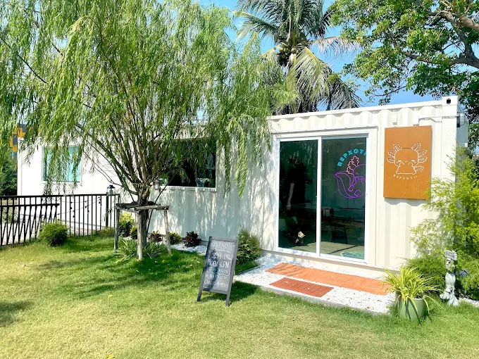 Little Forest Pet Cafe