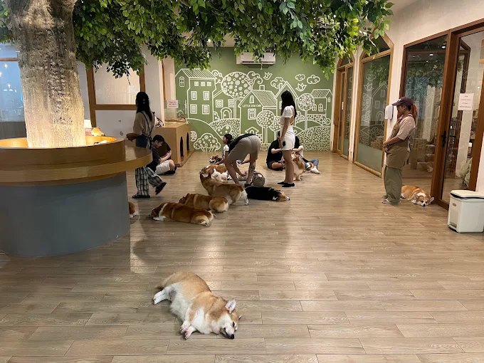 Little Zoo Cafe