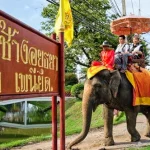 วังช้างอยุธยา แล เพนียด