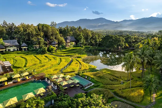 โฟร์ซีซั่นรีสอร์ท เชียงใหม่