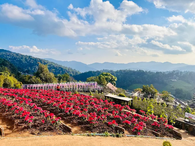 ม่อนแจ่ม