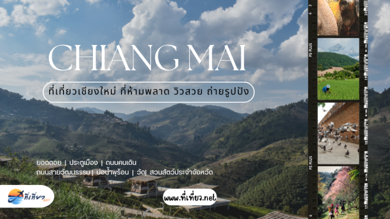 ที่เที่ยวเชียงใหม่ ที่ห้ามพลาด วิวสวย ถ่ายรูปปัง
